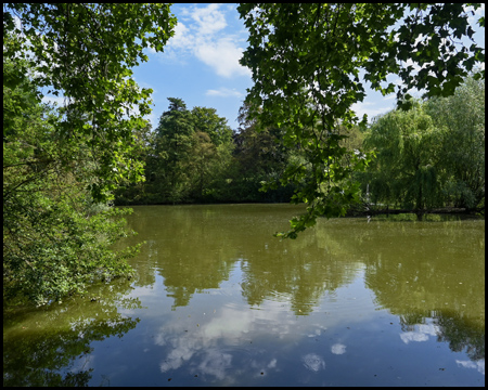 Teich im Volksgarten Kray
