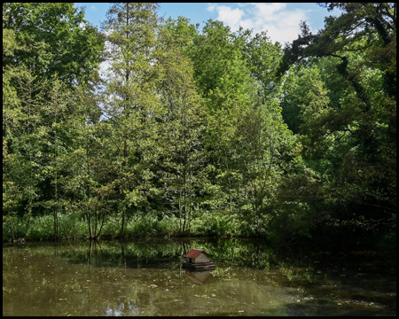 Ein Teich mit Entenhaus