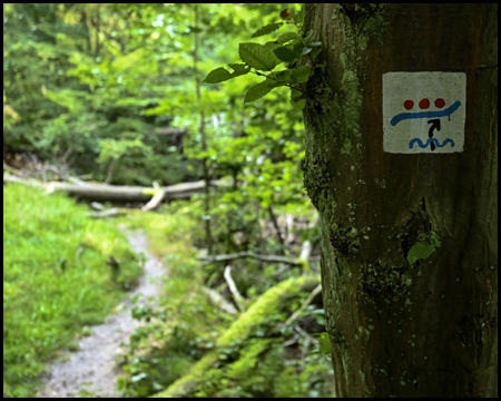 Wanderpiktogramm am Baum weist auf eine Bach-Überquerung hin