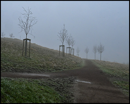 Hügel mit winterlichen Bäumen im Nebel