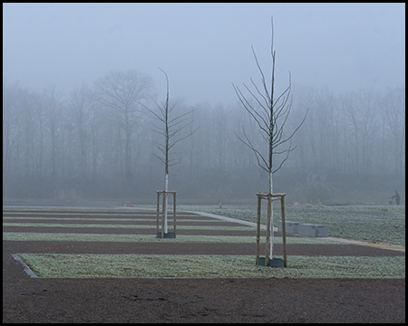 Ein Platz mit unterschiedlichem Belag, wechselweise Schotter und Gras. In den Grasflächen stehen Bäume. Im Hintergrund Baumreihe im Nebel