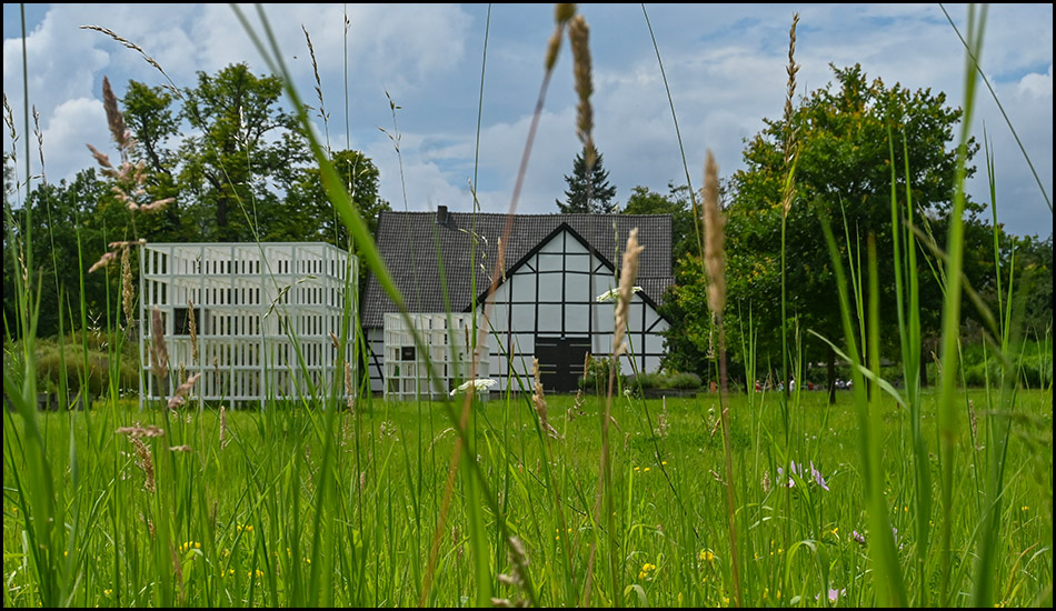 Froschperspektive mit Gras im Vordergrund und Fachwerkhaus und Kunstskulptur im Hintergrund