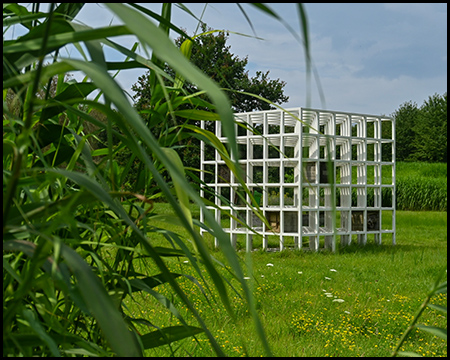 Schilf vor dem Kunstwerk "Bienenhaus", einem quadratischen Kasten aus senkrechten und waagerechten verbundenen Holzlatten