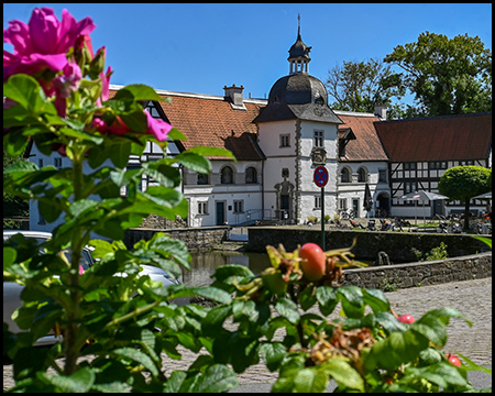 Strauch mit Beeren vor einem Schlossgebäude mit markantem Turm