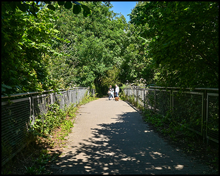 Ein Weg auf einer Brücke