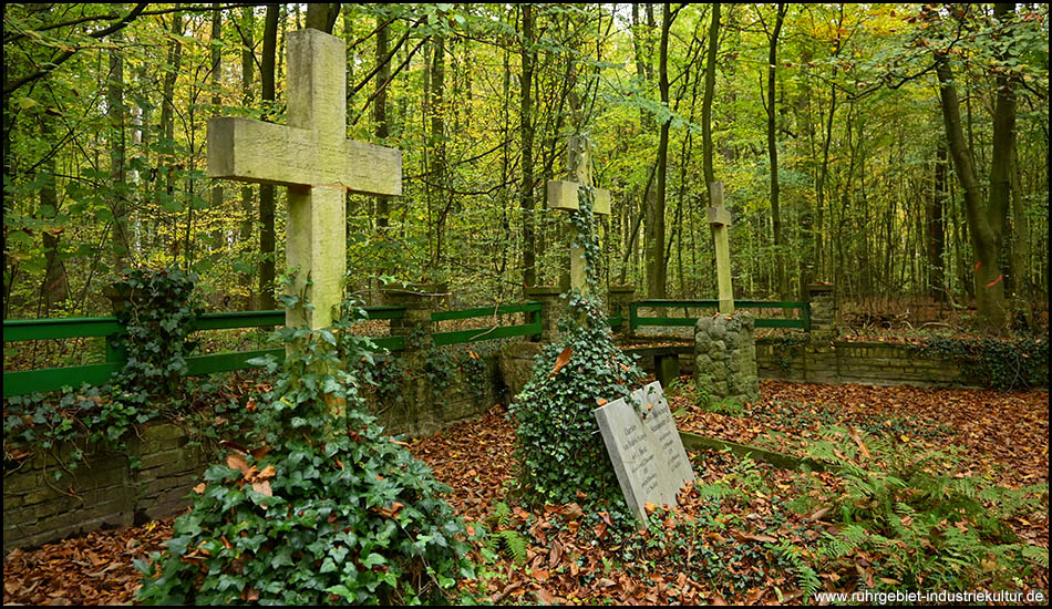 Mehrere steinerne Grabkreuze auf einem Waldfriedhof. Die Bäume sind herbstlich gelb gefärbt.