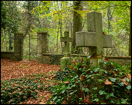 Steinerne Grabkreuze und ein Tor in einer Mauer eines Waldfriedhofs