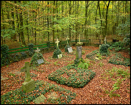 Ein Waldfriedhof mit steinernen Grabkreuzen aus der Höhe gesehen