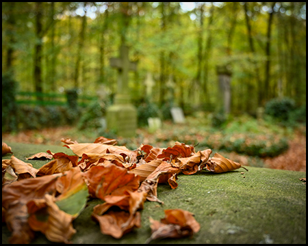 Laub auf einem Stein im Vordergrund. Dahinter unscharf ein Friedhof