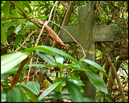 Ein Steinkreuz verborgen hinter einem Rhododendrenstrauch