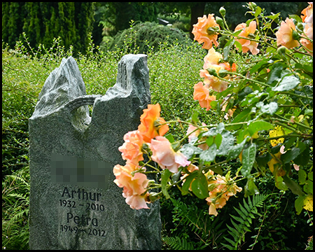 Grabstein mit einer nachgebauten Berg- und Tallandschaft. Daneben ein Rosenstrauch