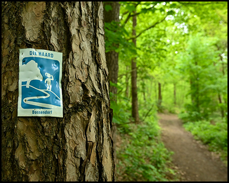 Ein Piktogramm des Wanderweges an einem Baum neben einem Waldweg