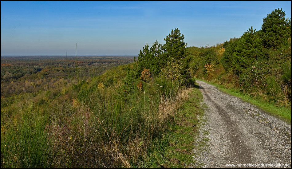 Ein Weg führt einen Berg hinauf. Im Hintergrund ist die Ebene darunter zu sehen, die ein bunt belaubter Wald ist.