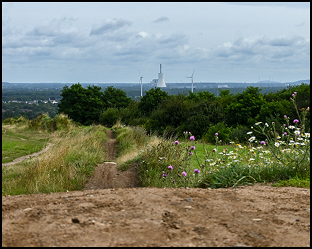 Ein Mountainbike-Trail mit Hügeln