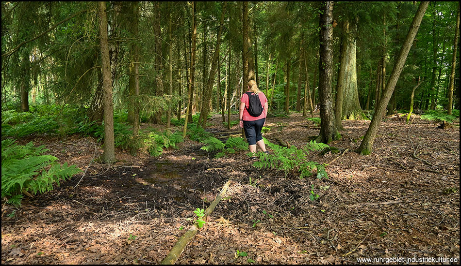 Eine Frau steht im Wald vor einer Quelle, die sich als nasse Stelle im Waldboden äußert