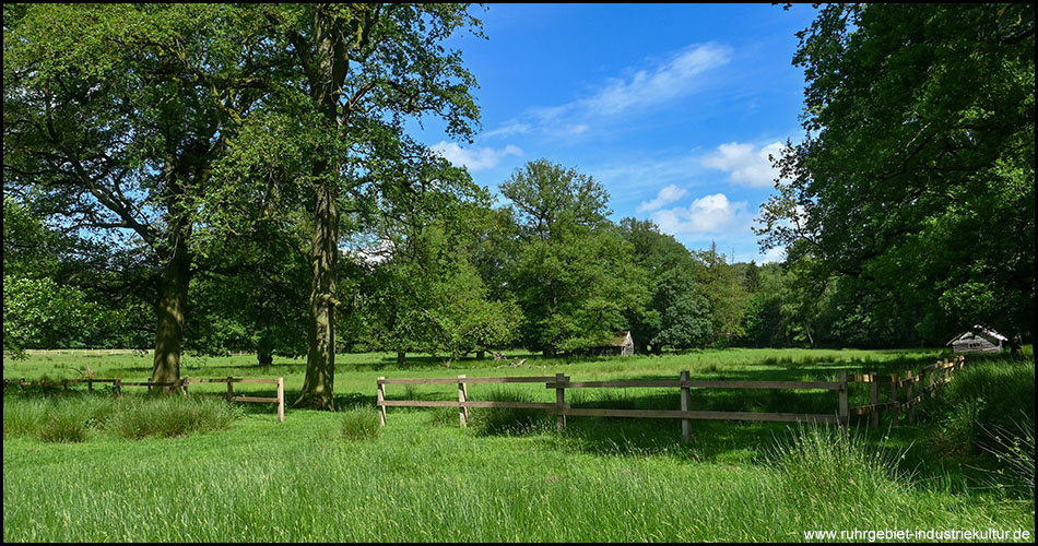 Landschaft des Wildparks Dülmen 