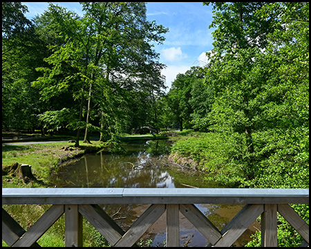 Eine Brücke über einen Teich im Wildpark Dülmen