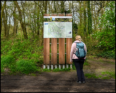 Eine Frau vor einer Informationstafel über einen Wanderweg in einem frühlingshaften Wald