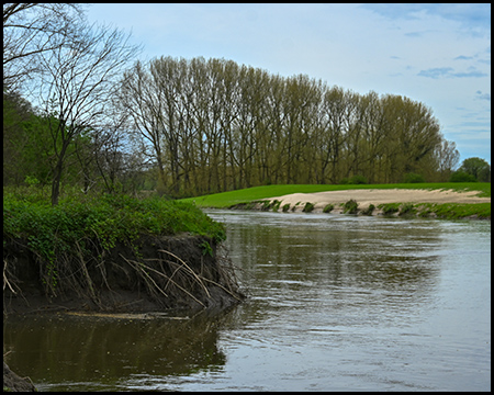 Ufer eines Flusses