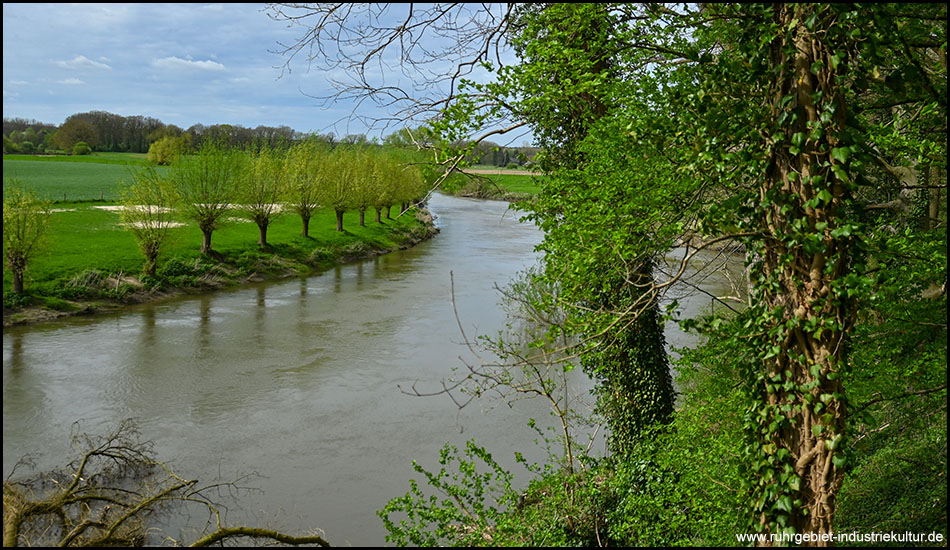 Verlauf eines Flusses unterhalb eines Abhangs, auf dem der Fotograf steht. Am Ufer stehen Kopfweiden.