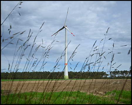 Windrad in einem Feld hinter wiegenden Gräsern