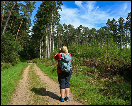 Eine Frau auf einem Waldweg