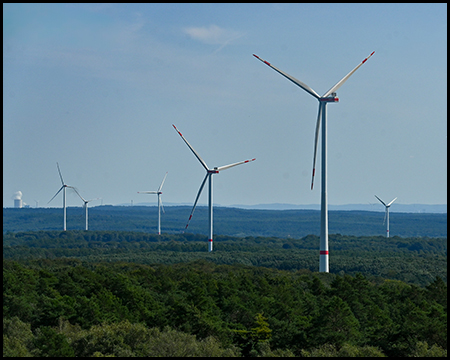 Windräder in einem Waldstück