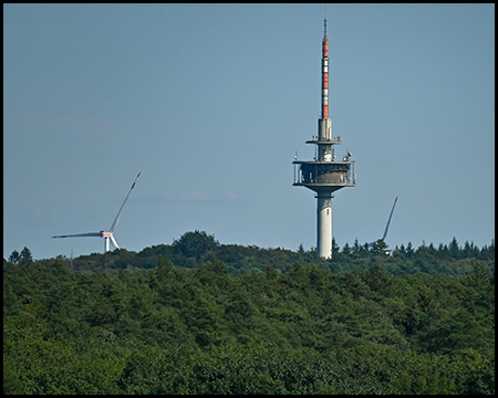 Aus einem Waldstück ragt ein Fernmeldeturm heraus