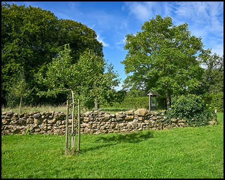 Wiese mit Obstbaum und einer Trockenmauer