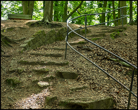 Eine Treppe im Wald