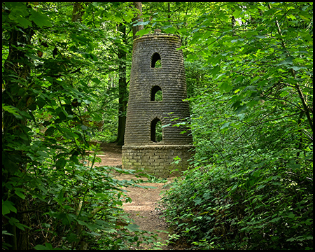 Blick durch Gebüsch auf den Stumpf einer Mühle im Wald