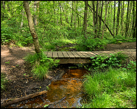 Brücke über einen roten Bach im Wald