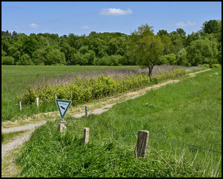 Ein Weg führt durch Felder hindurch. Im Vordergrund steht ein Schild "Naturschutzgebiet" an einem Weidezaun.