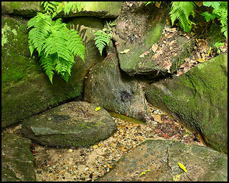 Wasser tritt aus Steinen als Quelle aus