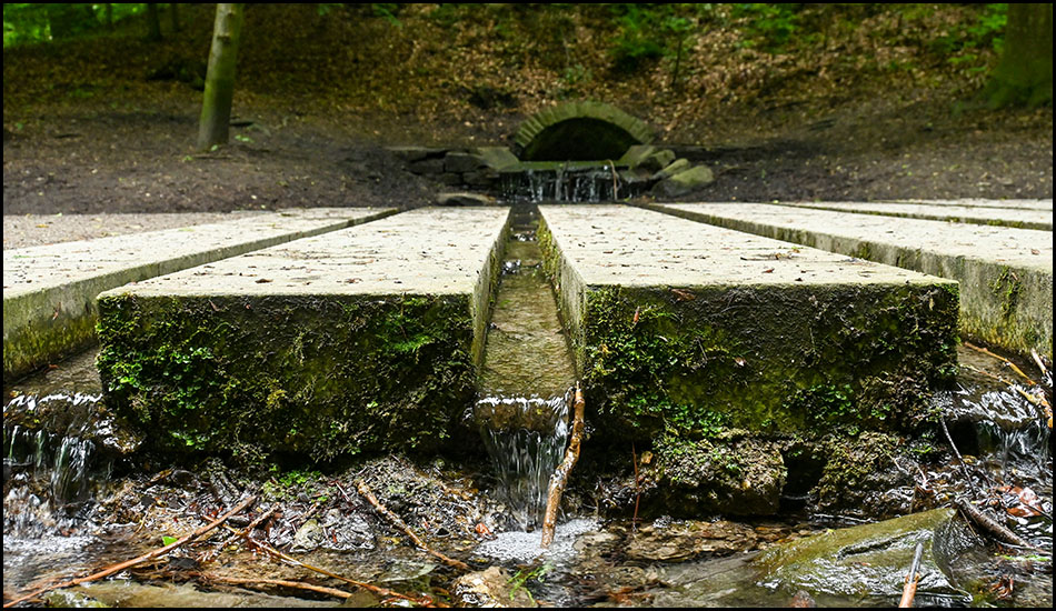 Trittsteine bilden Rinnen für einen kleinen Bach