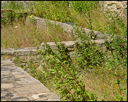Mauern mit Wildpflanzen dazwischen