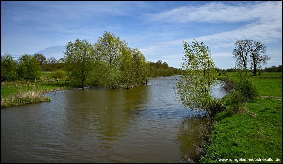 Flacher, breiter Fluss mit Ufern mit Weiden und einzelnen Bäumen