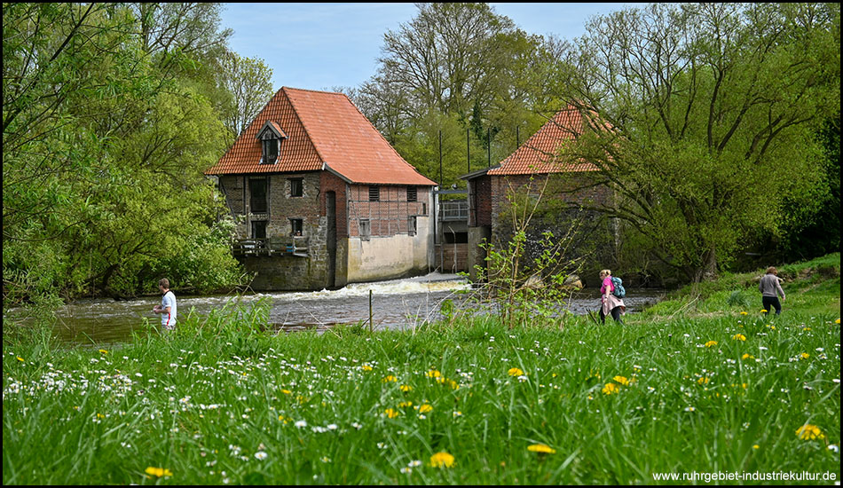 Zwei alte Gebäude mit rotem Ziegeldach rahmen einen Fluss ein. Es handelt sich um eine alte Mühle ohne Mühlrad heute. Im Vordergrund bunte Blumenwiese.