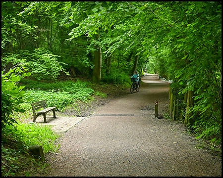 Ein Rad- und Fußweg im Wald