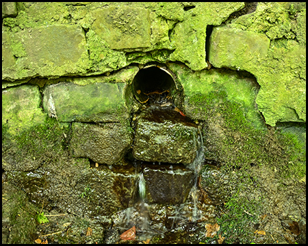 Eine Quelle: Wasser tritt aus einer bemoosten Steinmauer aus