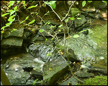 Bach plätschert munter über Steine in kleinen Mini-Wasserfällen 