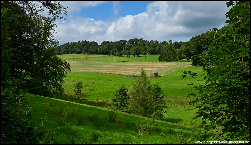 Hügelige Tal-Landschaft mit Wiesen, Feldern und Wäldern