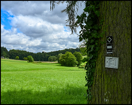 Wiese in einer Tal-Landschaft. Im Vordergrund ein Baum mit Wanderweg-Zeichen