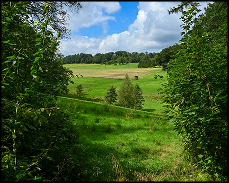 Idyllische Tal- und Berglandschaft mit Bäumen, Wiesen und Feldern im Wannebachtal