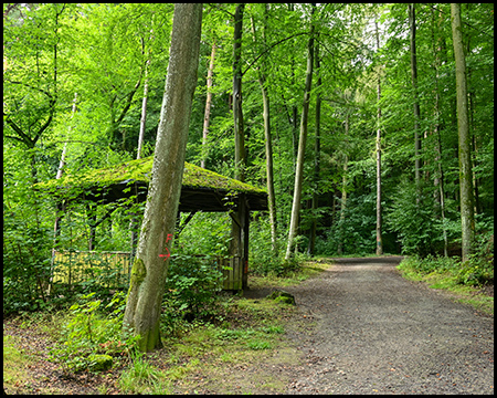 Eine Schutzhütte im Wald direkt an einem breiten Weg