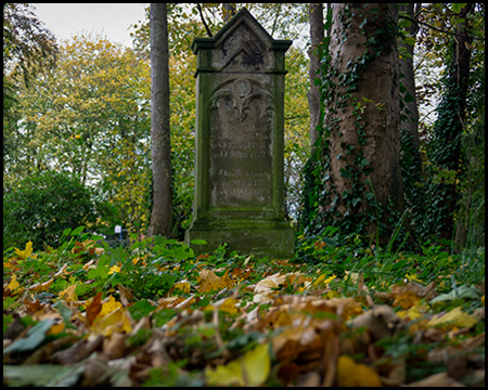 Ein Denkmal auf einem Friefdhof mit Herbstlaub