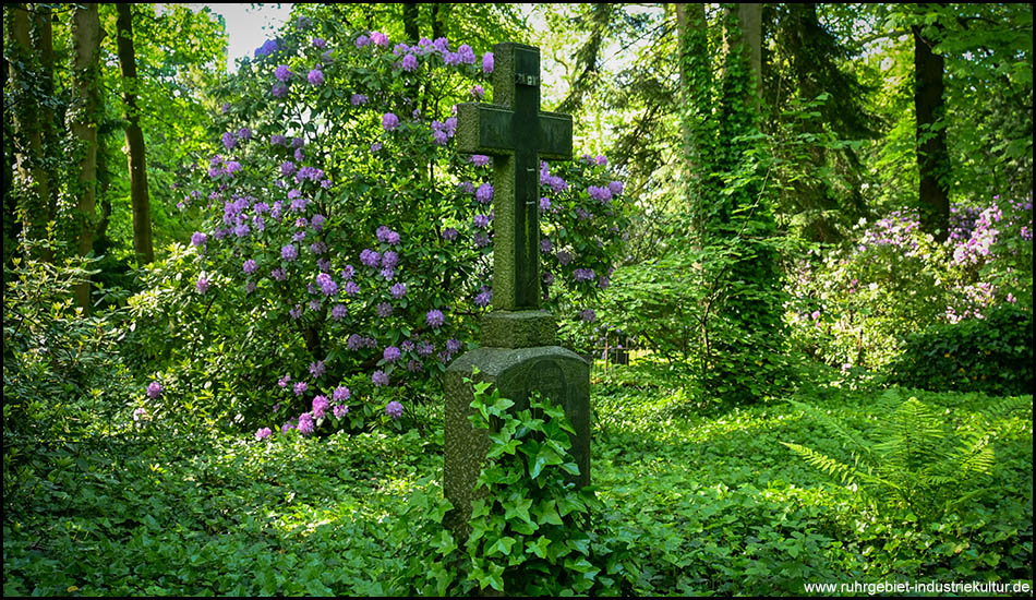 Ein steinernes Kreuz einer Grabstätte mit Rhododendren im Hintergrund