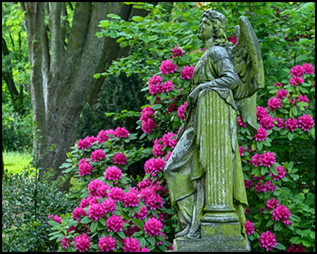 Engelsfigur vor einem roten Rhododendron