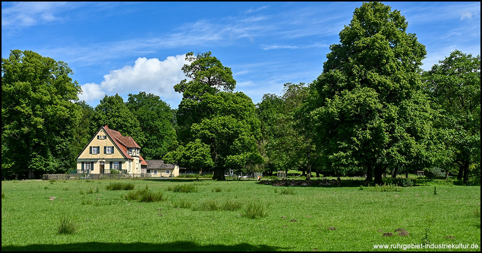 Wildpark Dülmen mit einem Haus in einer weiten Wiese mit einzelnen Bäumen und darunter liegendem Wild