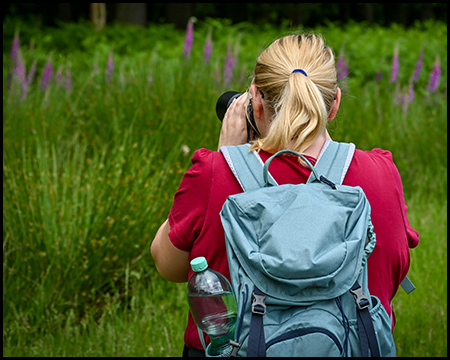 Eine Frau fotografiert etwas. Sie ist nur von hinten mit Rucksack zu sehen.